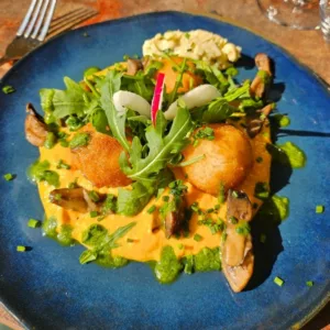 Plast 5 Cours O Bistrot